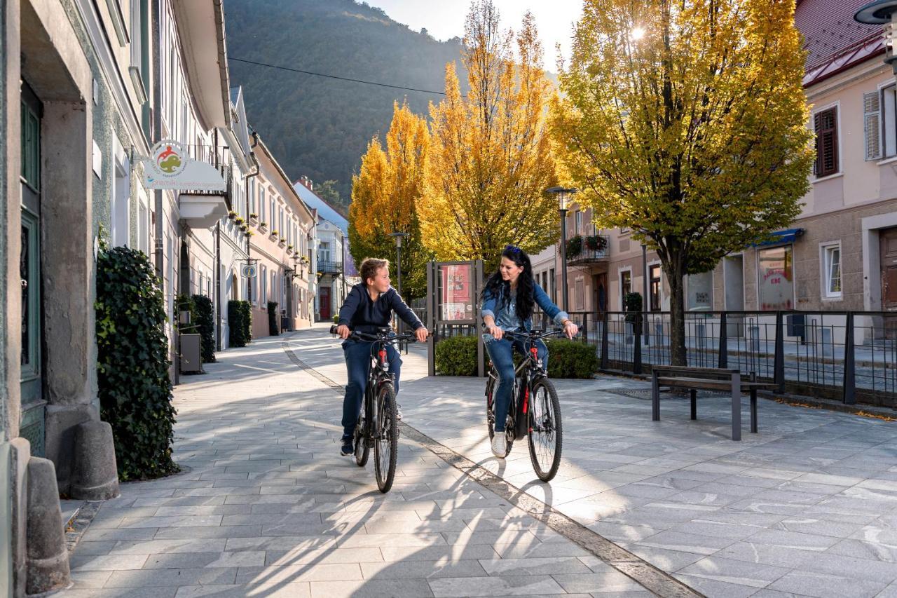 Dvorec Trebnik - Sobe Slovenske Konjice Dış mekan fotoğraf
