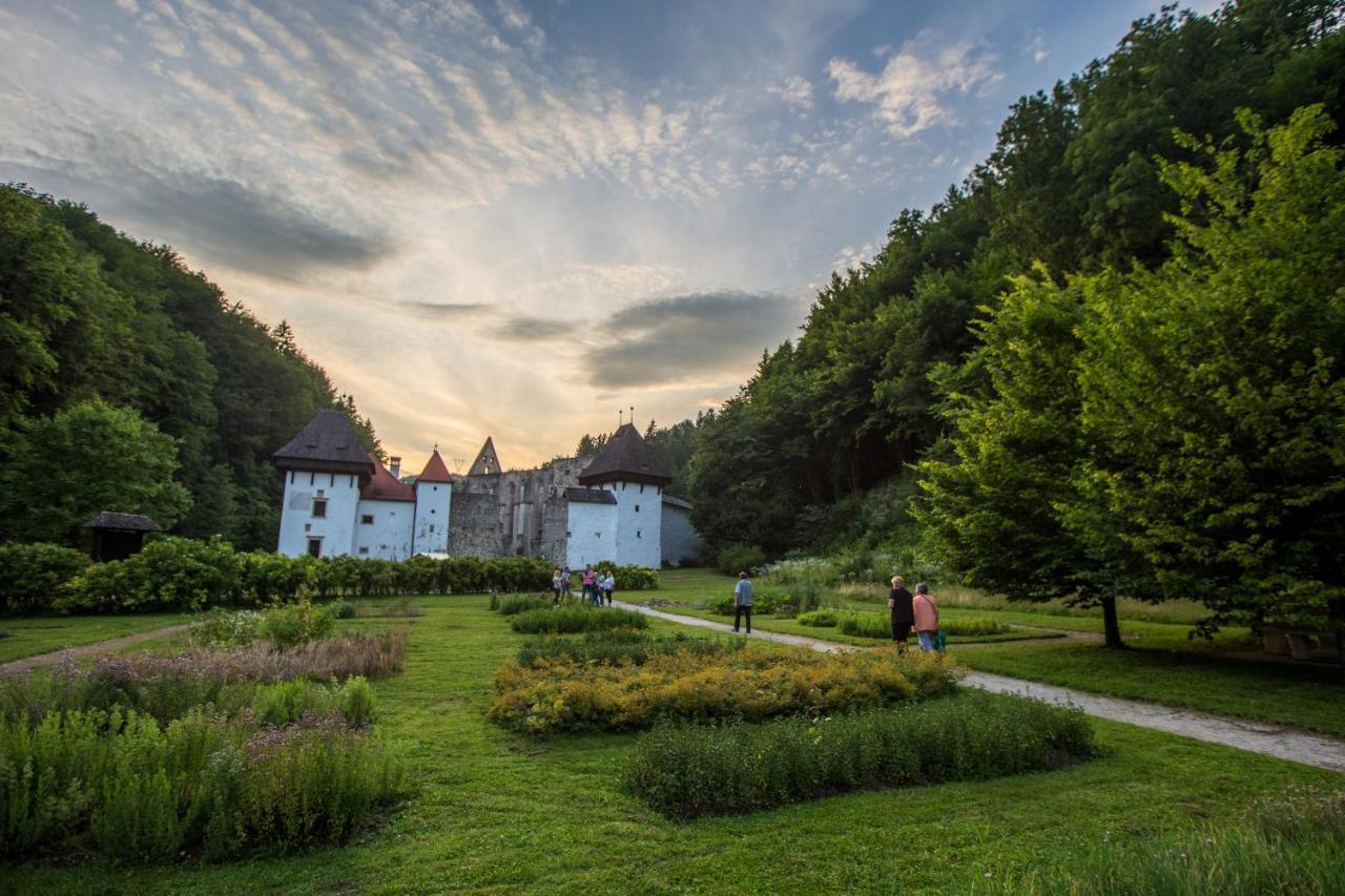 Dvorec Trebnik - Sobe Slovenske Konjice Dış mekan fotoğraf